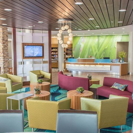 Springhill Suites By Marriott Sumter Eksteriør billede